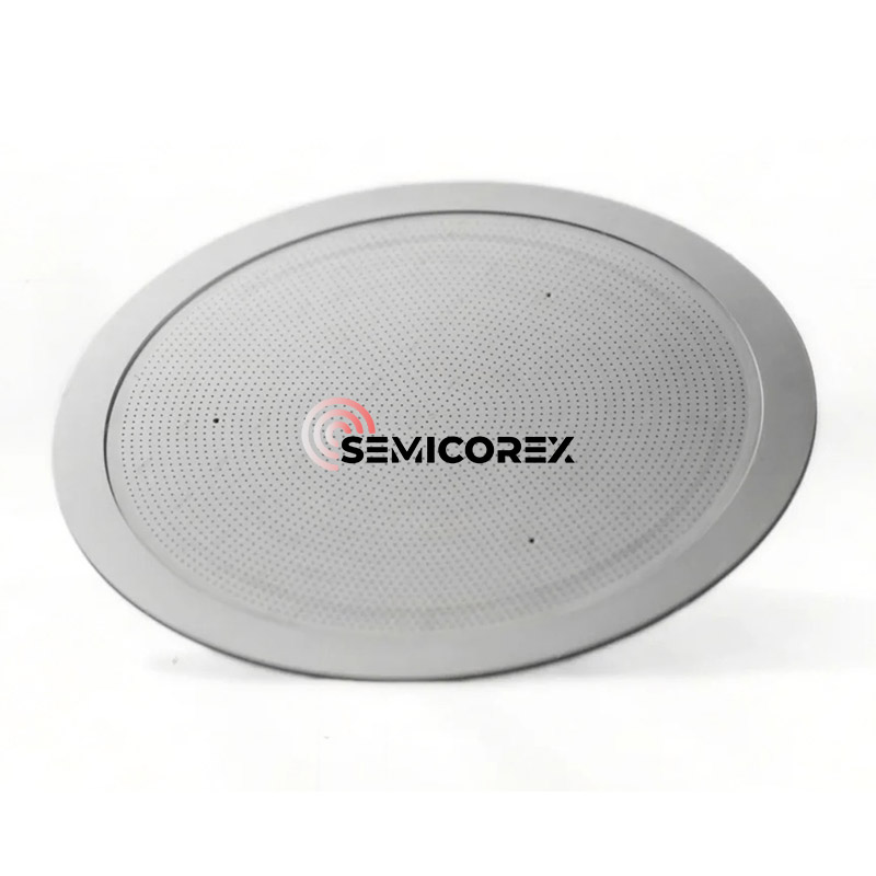 Capete de dus CVD SiC